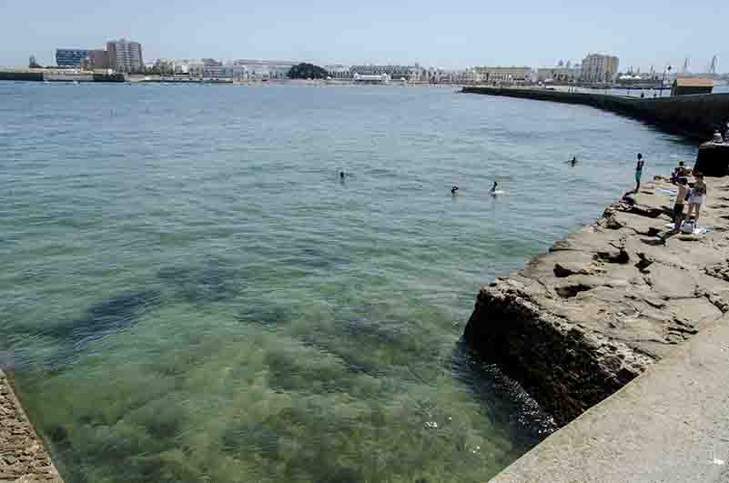 Cádiz 38 - Paseo Fernando Quinones.jpg